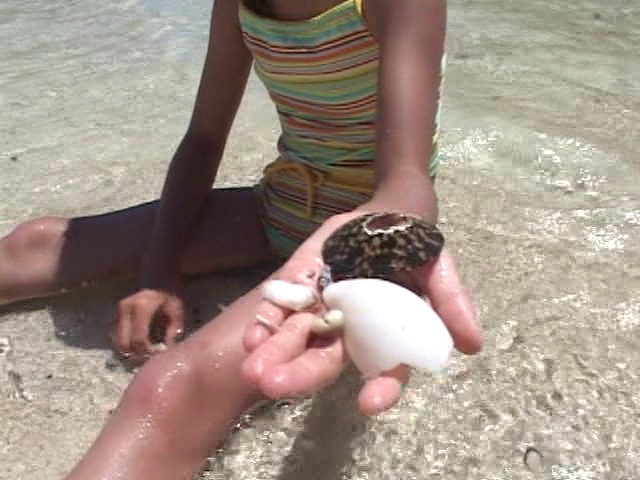 ピュアぐらびあ・あ～と：桃瀬なつみ08b